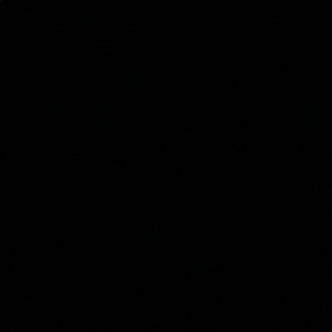 Meet your Posher, Precious